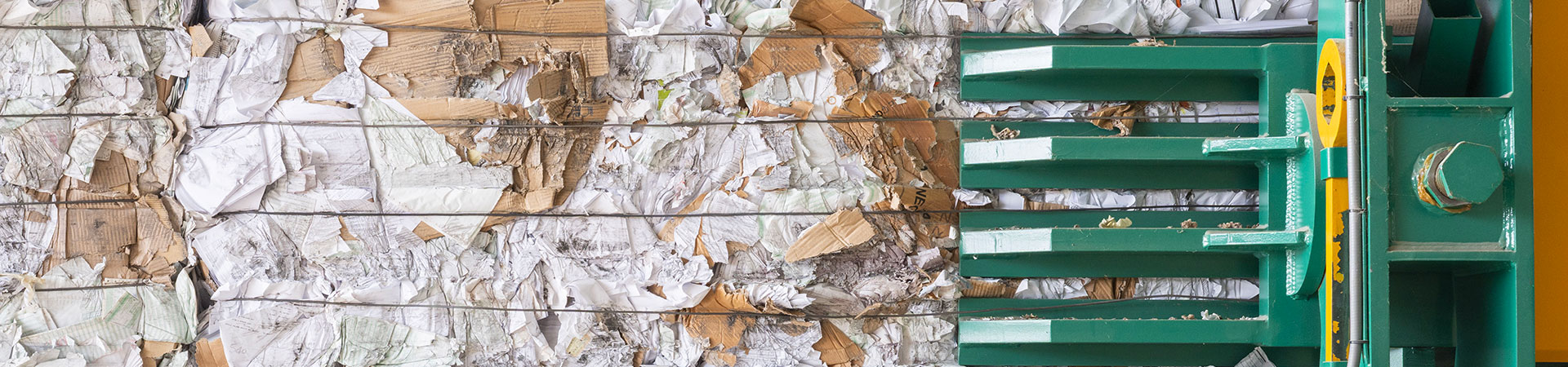 bg trattamento e smaltimento